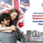 de facto partner visa